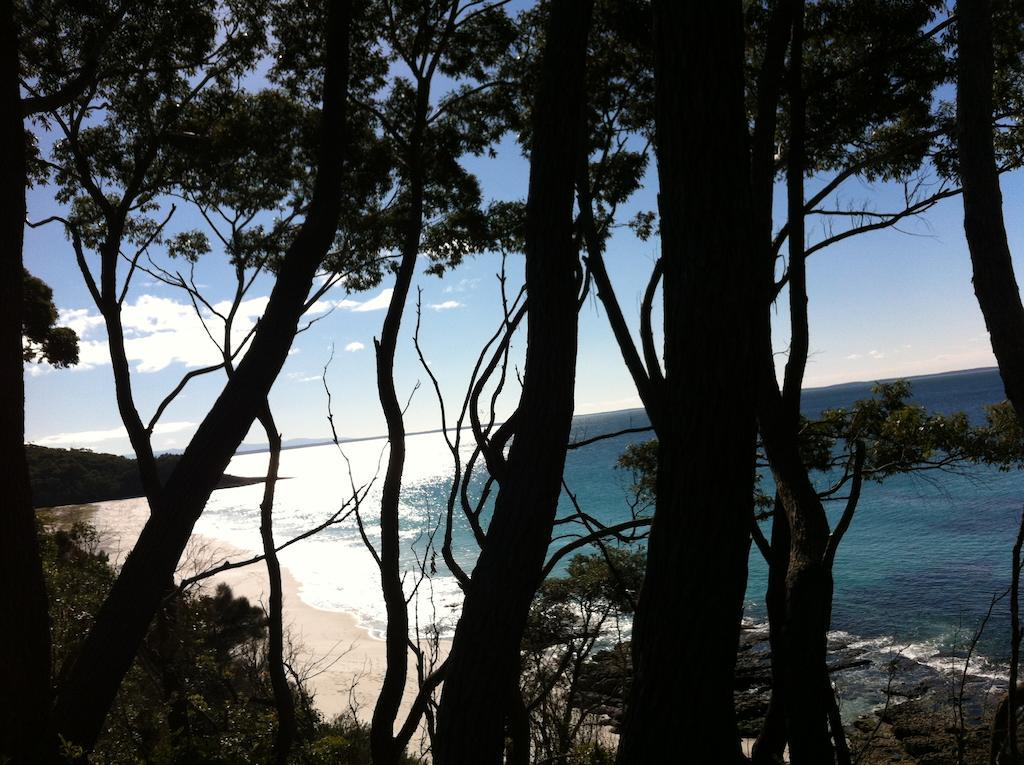 Hyams Beach - A Secret Treasure Ruang foto